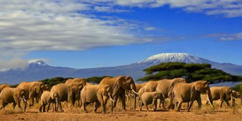 all inclusive kenya safari holidays
