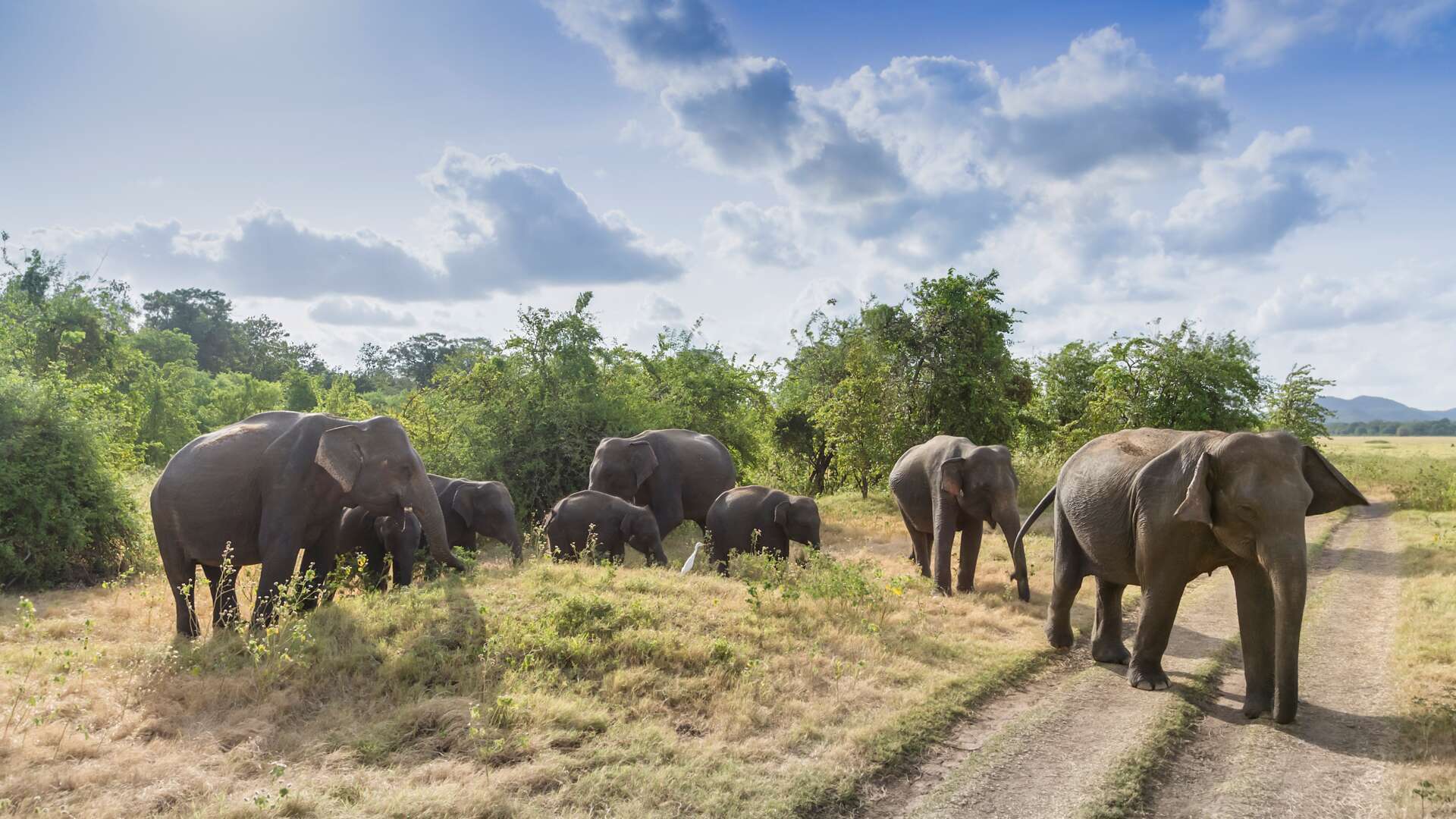 sri lanka tours october 2023