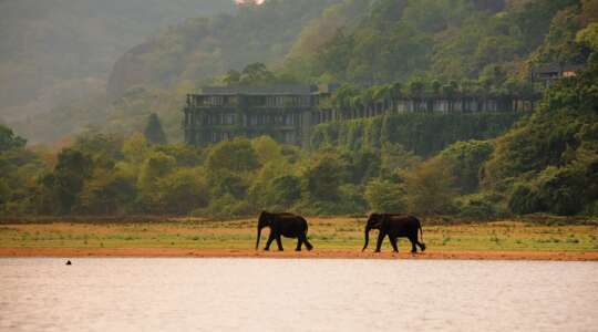 sri lanka tours october 2023