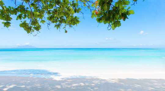 seychelles travel deals