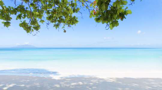 seychelles travel deals